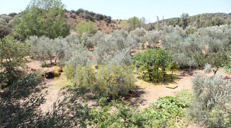 Málaga - Villanueva del Rosario - 4000m2