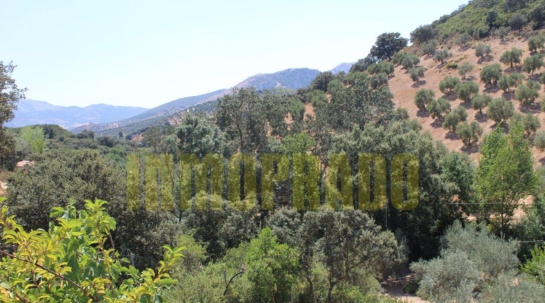 Málaga - Villanueva del Rosario - 4000m2