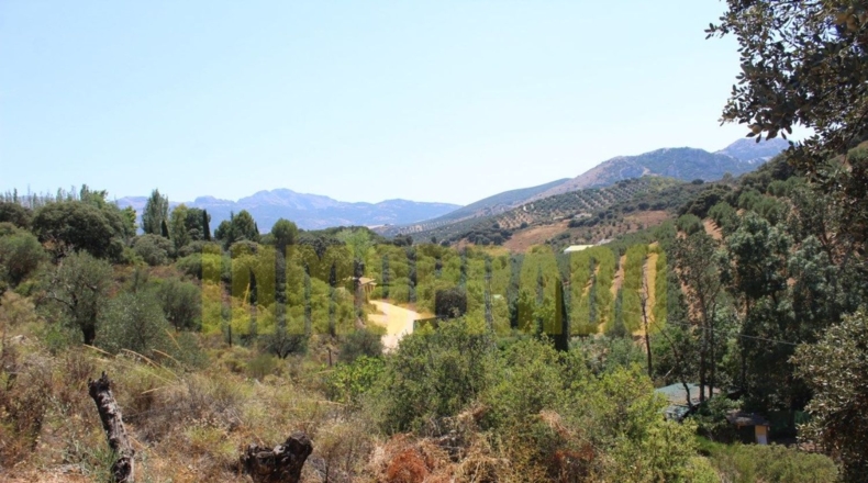 Málaga - Villanueva del Rosario - 4000m2