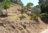 Vil·la amb terreny en venda a Villanueva del Rosario ref.: TR13420 foto