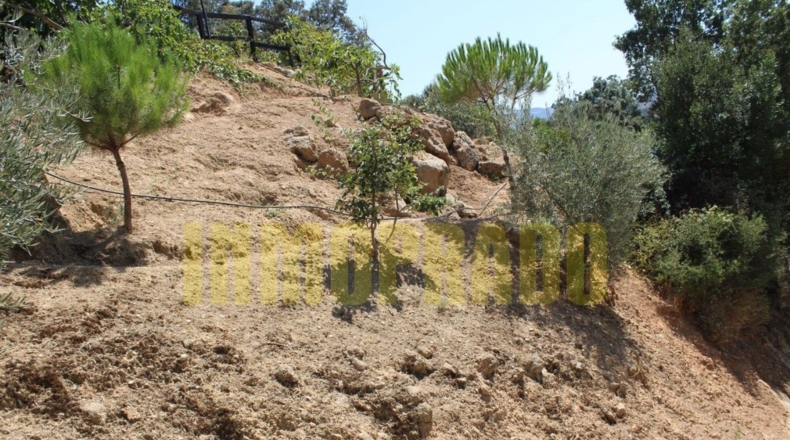 Málaga - Villanueva del Rosario - 4000m2