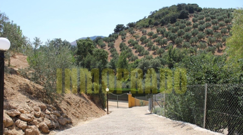 Málaga - Villanueva del Rosario - 4000m2