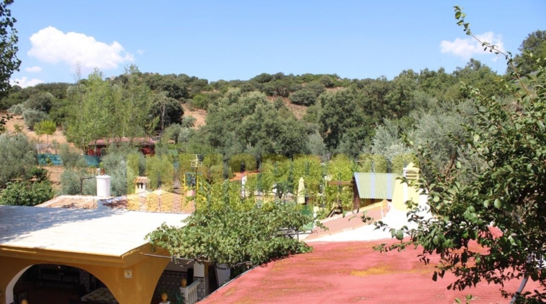Málaga - Villanueva del Rosario - 4000m2