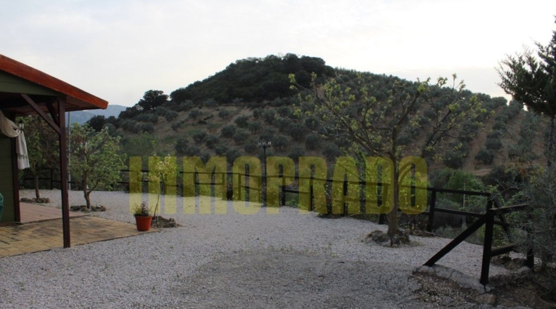 Málaga - Villanueva del Rosario - 4000m2