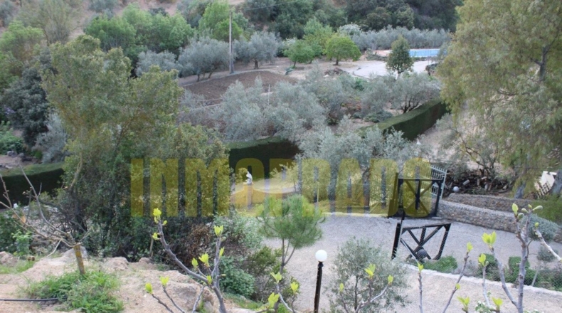 Málaga - Villanueva del Rosario - 4000m2