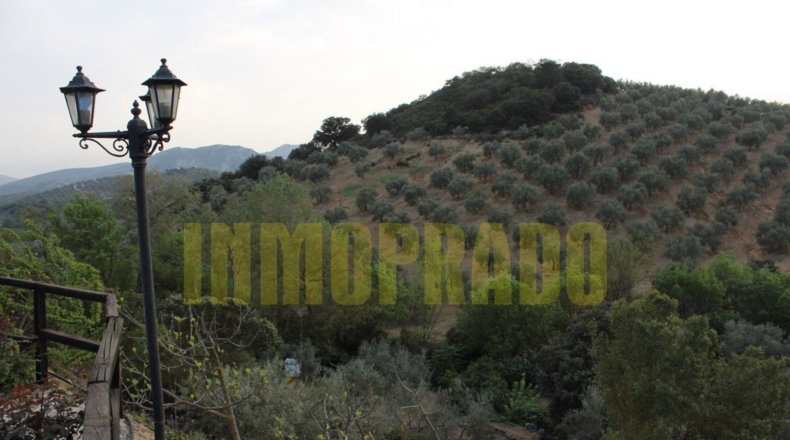 Málaga - Villanueva del Rosario - 4000m2