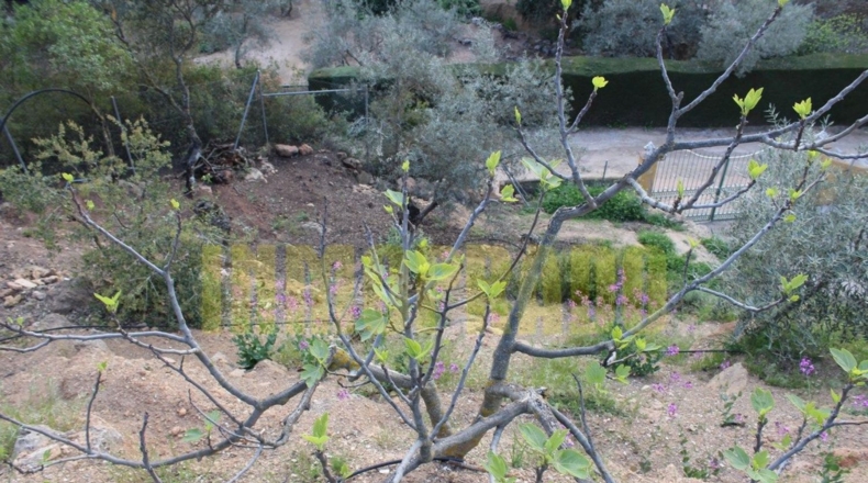Málaga - Villanueva del Rosario - 4000m2