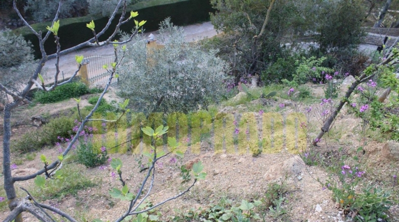 Málaga - Villanueva del Rosario - 4000m2