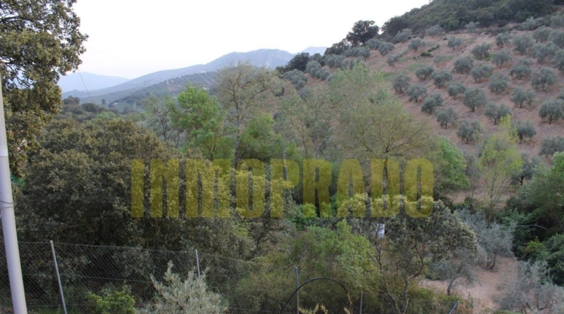 Málaga - Villanueva del Rosario - 4000m2