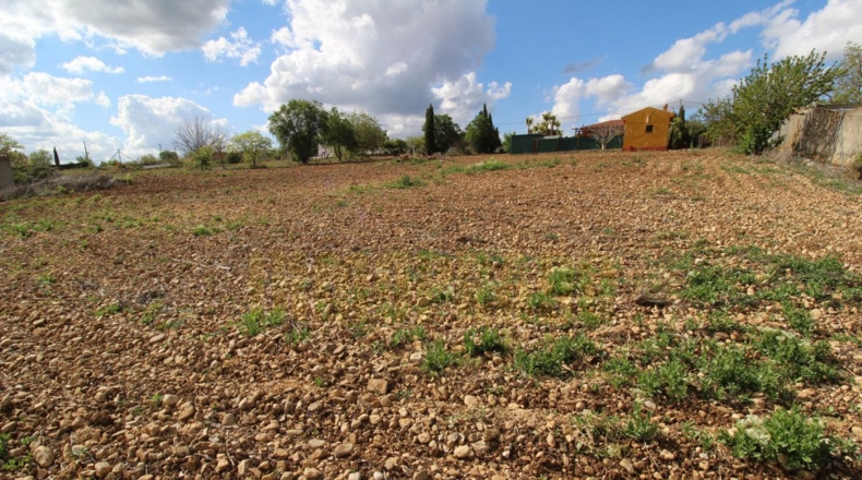 Málaga - Villanueva del Rosario - 4000m2