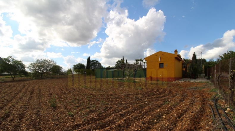 Málaga - Villanueva del Rosario - 4000m2