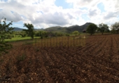 Xalet independent amb terreny en venda a la España, Villanueva del Rosario, ref.: TR13421 foto