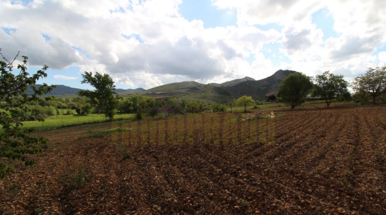 Málaga - Villanueva del Rosario - 4000m2