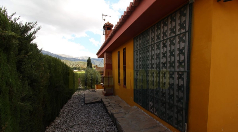 Málaga - Villanueva del Rosario - 4000m2