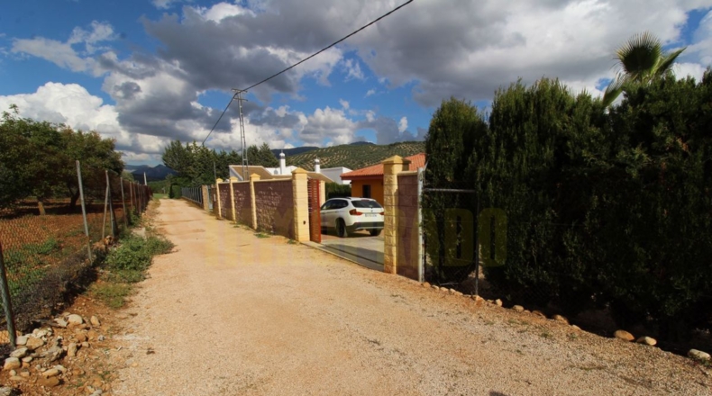 Málaga - Villanueva del Rosario - 4000m2