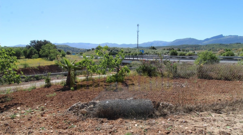 Málaga - Estación de Salinas - 9000m2