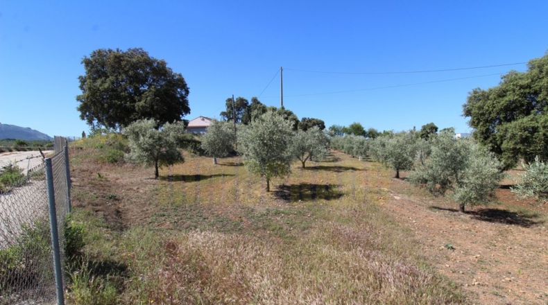 Málaga - Estación de Salinas - 9000m2
