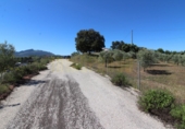 Masia amb terreny en venda a Archidona ref.: TR207651 foto