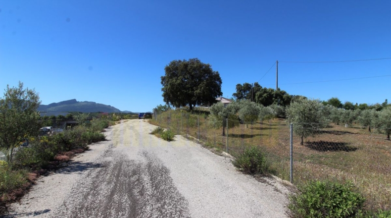 Málaga - Estación de Salinas - 9000m2