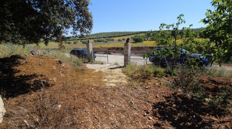 Málaga - Estación de Salinas - 9000m2