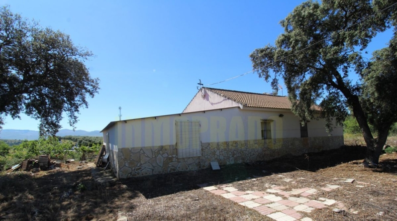 Málaga - Estación de Salinas - 9000m2