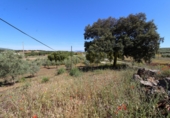 Masia amb terreny en venda a Archidona ref.: TR207651 foto