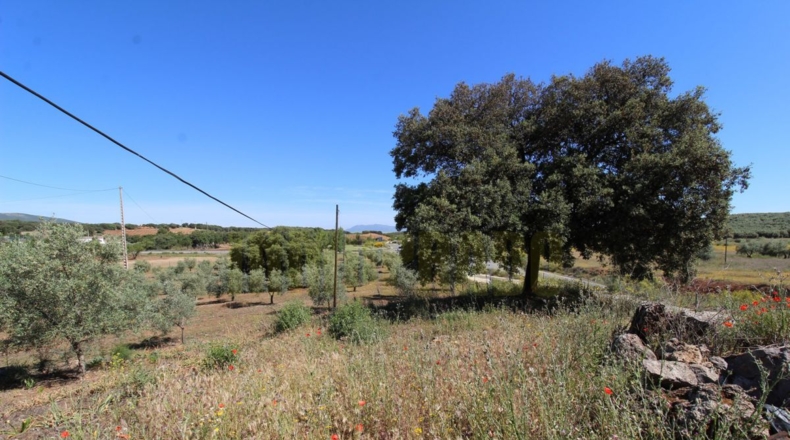 Málaga - Estación de Salinas - 9000m2