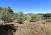 Masia amb terreny en venda a Archidona ref.: TR207651 foto