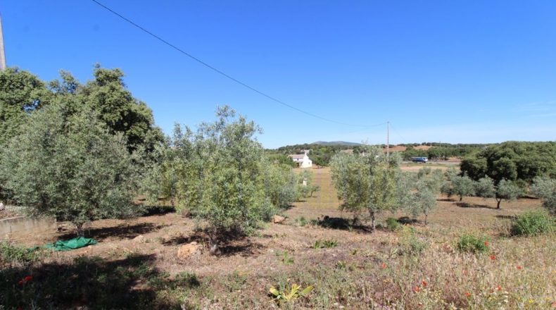 Málaga - Estación de Salinas - 9000m2