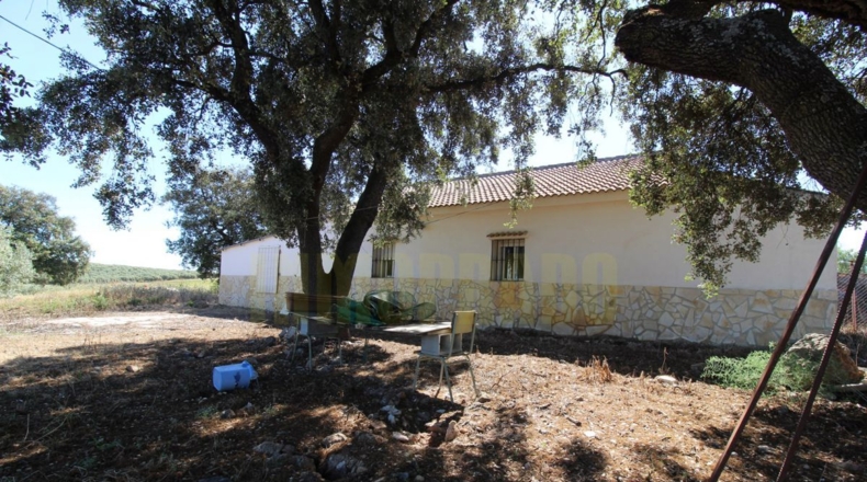 Málaga - Estación de Salinas - 9000m2