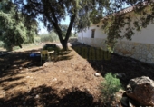 Masia amb terreny en venda a Archidona ref.: TR207651 foto