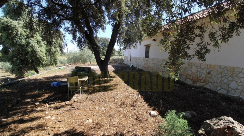 Málaga - Estación de Salinas - 9000m2