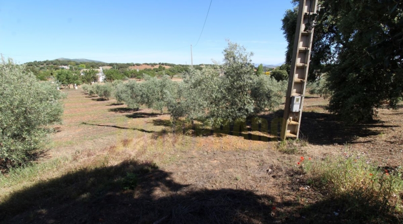 Málaga - Estación de Salinas - 9000m2