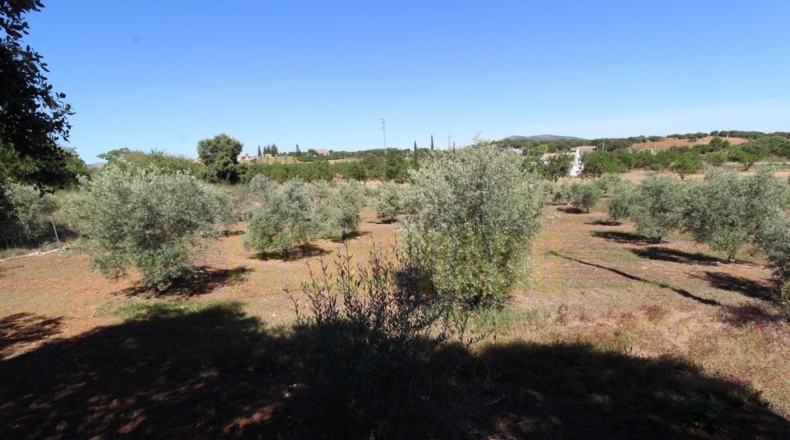 Málaga - Estación de Salinas - 9000m2