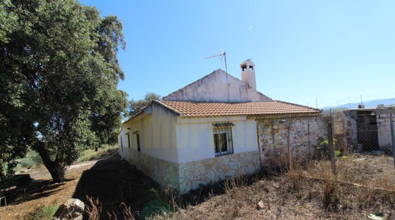 Málaga - Estación de Salinas - 9000m2