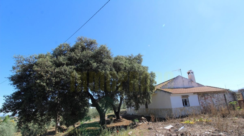 Málaga - Estación de Salinas - 9000m2