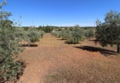 Masia amb terreny en venda a Archidona ref.: TR207651 foto