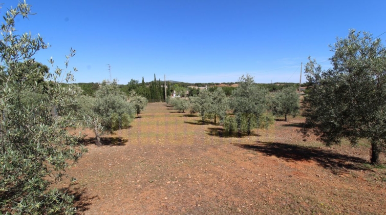 Málaga - Estación de Salinas - 9000m2