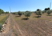 Masia amb terreny en venda a Archidona ref.: TR207651 foto