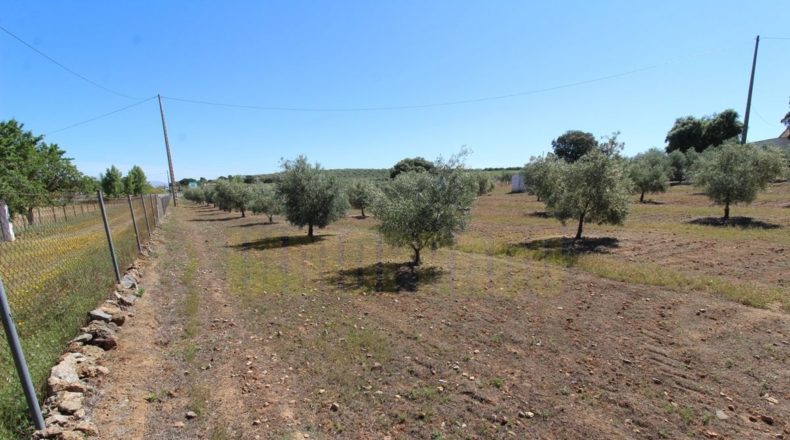 Málaga - Estación de Salinas - 9000m2