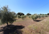 Masia amb terreny en venda a Archidona ref.: TR207651 foto