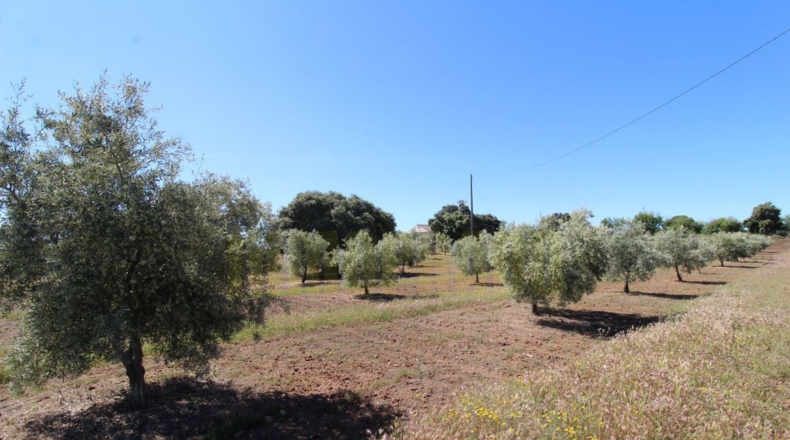 Málaga - Estación de Salinas - 9000m2