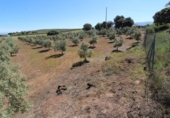 Masia amb terreny en venda a Archidona ref.: TR207651 foto