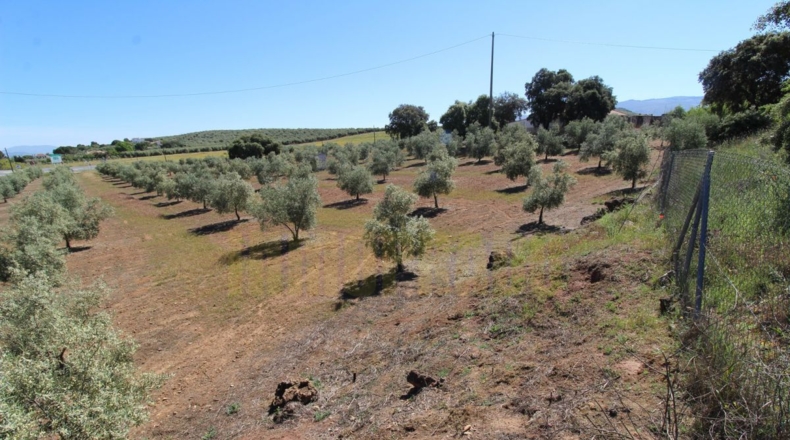 Málaga - Estación de Salinas - 9000m2
