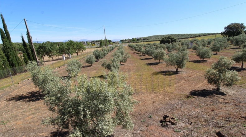 Málaga - Estación de Salinas - 9000m2