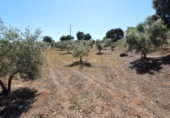 Masia amb terreny en venda a Archidona ref.: TR207651 foto