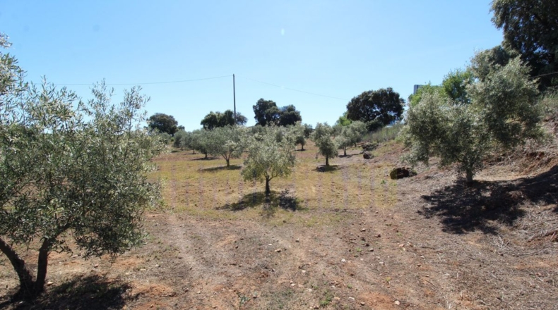Málaga - Estación de Salinas - 9000m2