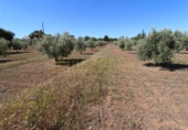 Masia amb terreny en venda a Archidona ref.: TR207651 foto