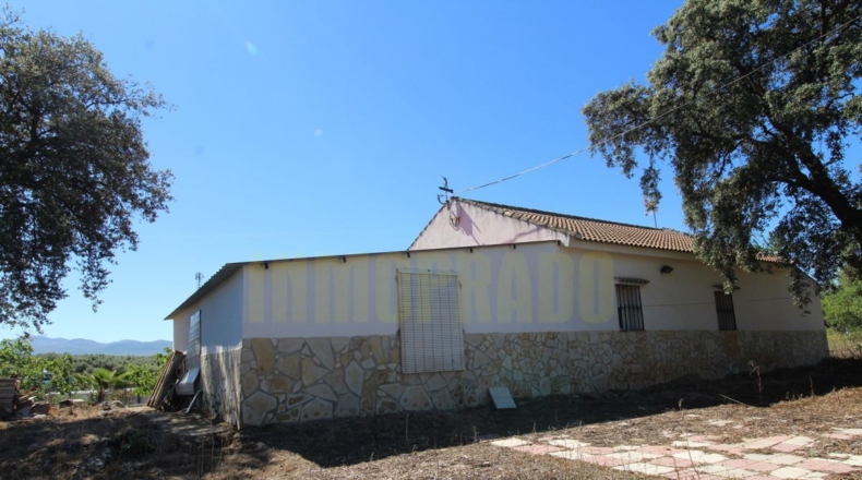 Málaga - Estación de Salinas - 9000m2