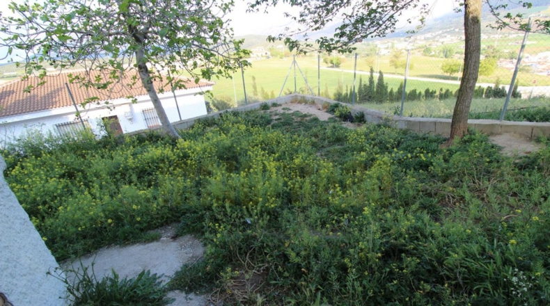 Málaga - Villanueva del Trabuco - 600m2